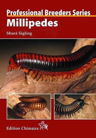Professional Breeders Series - Millipedes