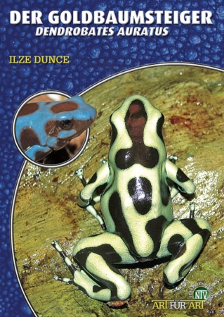 Der Goldbaumsteiger (Dendrobates auratus)