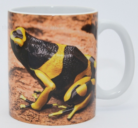 Kaffeebecher Dendrobates leucomelas