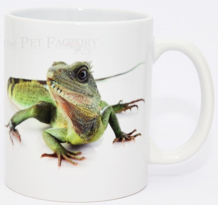 Kaffeebecher Physignathus