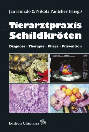 Tierarztpraxis Schildkröten