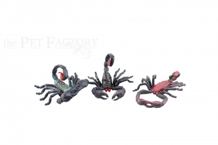 Skorpion MIX non-CITES unsortiert