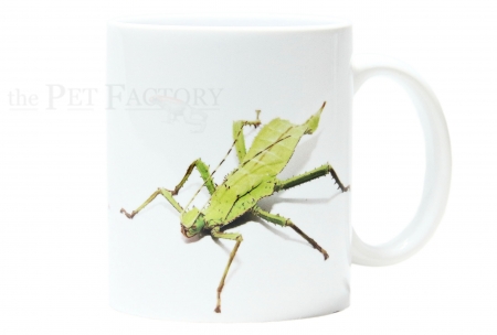 Kaffeebecher Heteropteryx dilatata