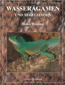 Wasseragamen und Segelechsen