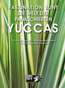 Faszination Bunt - Die Welt der panaschierten Yuccas