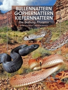 Bullennattern Gophernattern Kiefernattern - Die Gattung Pituophis