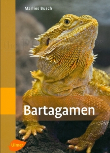 Bartagamen