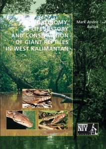 Taxonomy, Life History and Conservation of Giant Reptiles in West Kalimantan