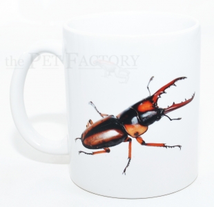 Kaffeebecher Prosopocoilus savagei