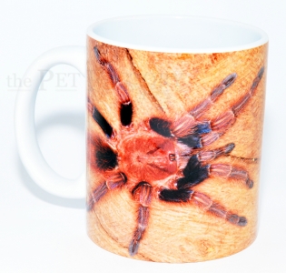 Kaffeebecher Bonnetina cyaneifemur