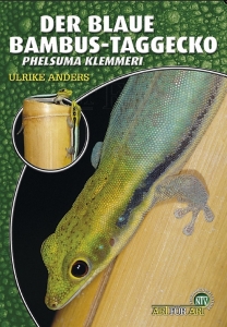 Der Blaue Bambustaggecko (Phelsuma klemmeri)