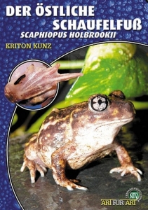 Der Östliche Schaufelfuß (Scaphiopus holbrookii)