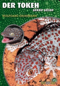 Der Tokeh (Gekko gecko)