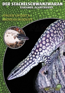 Der Stachelschwanzwaran (Varanus acanthurus)