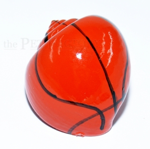 Schneckenhaus - Basketball