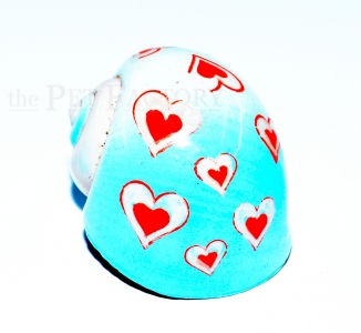 Schneckenhaus - Hearts