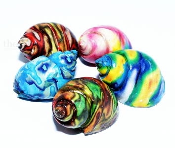 Schneckenhaus - Camouflage 5er Set