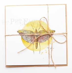 Square Card Locust flying