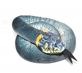 Kuschel Ringelnatter