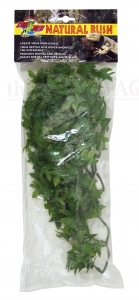Medium Congo Ivy 46 cm