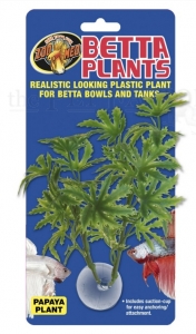 Betta Plant - Papaya