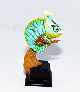 Japanfigur Chameleo calyptratus STUDIO SERIES