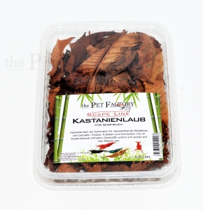 Kastanienlaub für Garnelen