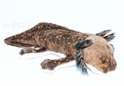 Kuschel Axolotl WILD