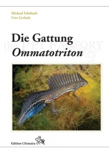 Die Gattung Ommatotriton