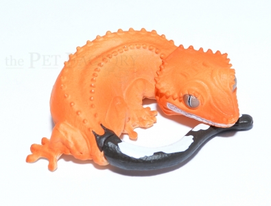 Japanfigur Rhacodactylus ciliatus 3