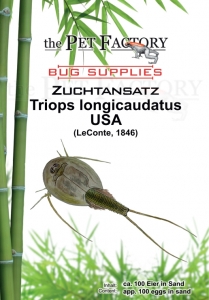 Zuchtansatz Triops longicaudatus USA