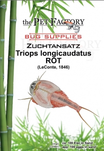 Zuchtansatz longicaudatus RED