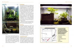 Moosfrösche - Die Gattung Theloderma
