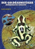 Der Goldbaumsteiger (Dendrobates auratus)