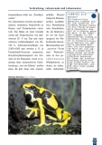 Der Färberfrosch - Dendrobates tinctorius