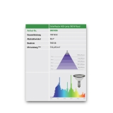 SolarRaptor HID-Lamp 150W Flood-Beam