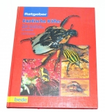 Exotische Käfer - Ratgeber