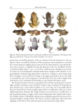 Amphibians and Reptiles of the St. Vincent and Grenada Banks, We