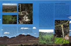 Chamäleons - Drachen unser Zeit