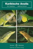 Karibische Anolis