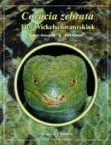 Corucia zebrata - Der Wickelschwanzskink