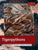 Tigerpythons