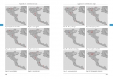 The Dragonflies of Corfu