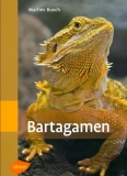 Bartagamen