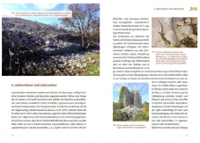 Die Leopardnatter Zamensis situla