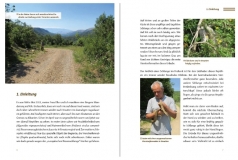 Die Vierstreifennatter Elaphe quatuorlineata