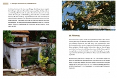 Die Vierstreifennatter Elaphe quatuorlineata