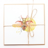 Square Card Lucanus flying