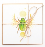 Square Card Chrysina