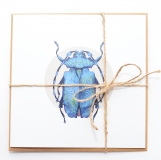 Square Card Blue Longhorn Beetle